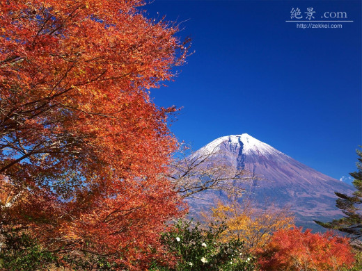 48038 (a): :1600x1200